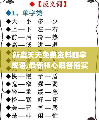 新奥天天免费资料四字成语,最新核心解答落实_MR8.466