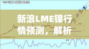 新浪LME镍行情预测，解析未来镍市场走势展望（2024年12月行情预测）