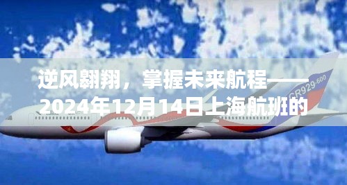 逆风翱翔，上海航班的未来航程励志飞翔之旅（2024年12月14日）