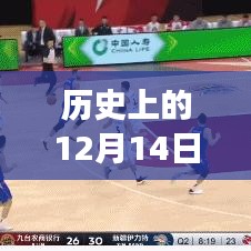 历史上的12月14日新疆实时新闻解读与观点阐述直播