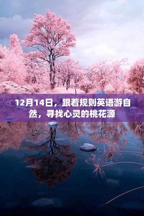 心灵桃花源，跟随规则英语游自然之旅的启示（12月14日）