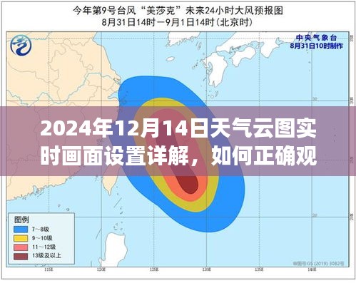 2024年天气云图实时画面设置详解，如何观看与理解云图动态