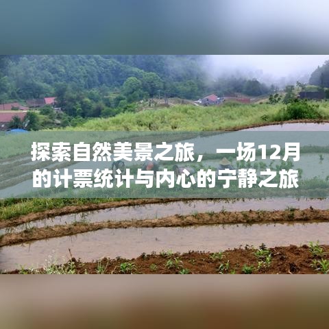 自然美景探索之旅，计票统计与心灵宁静的十二月之旅