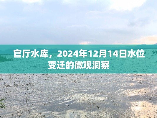 官厅水库水位变迁微观洞察，2024年12月14日水位变化纪实