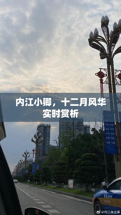 内江小卿十二月风华的实时赏析