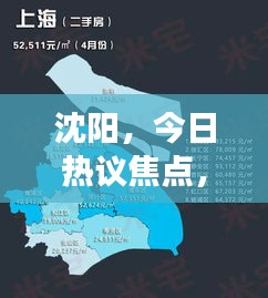 沈阳热议焦点，探寻实时评论背后的故事（12月14日）