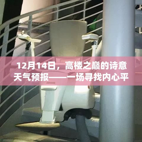 雪顶之旅，高楼之巅的诗意天气预报与内心平静的追寻