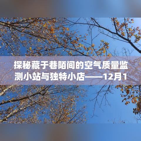 揭秘空气质量监测小站与独特小店的秘密故事，全国城市空气质量实时发布平台探秘之旅（12月14日）