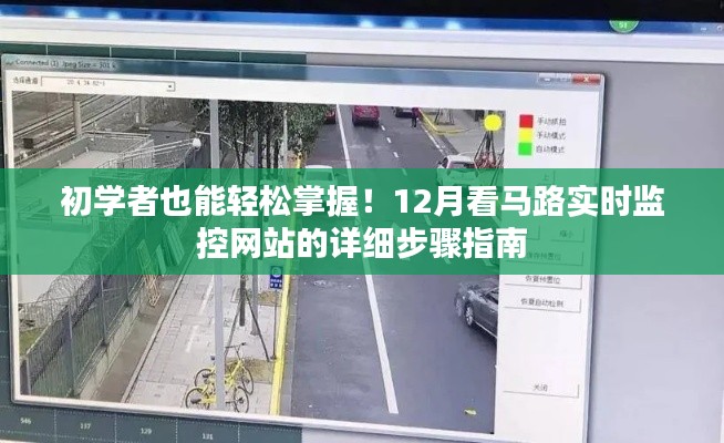 初学者指南，轻松掌握马路实时监控网站的使用步骤（附详细指南）
