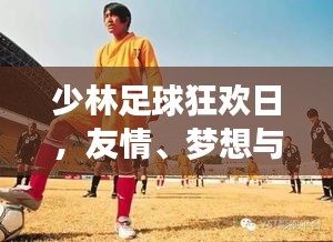 少林足球狂欢日，友情、梦想与银幕魅力的交汇点