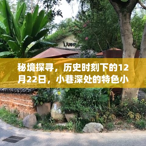 秘境探寻，历史时刻下的特色小店之旅（12月22日篇）