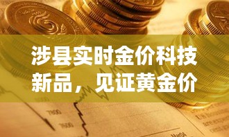 涉县实时金价科技新品，黄金价值的数字化革命之旅