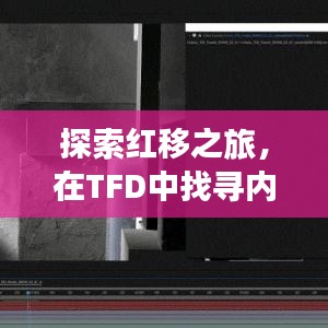 TFD红移之旅，探寻内心宁静与实时渲染的魔法