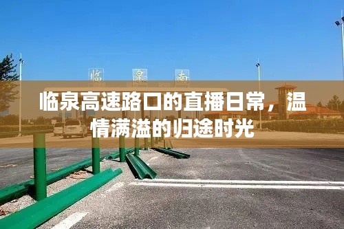 临泉高速路口直播，归途时光的温情记录