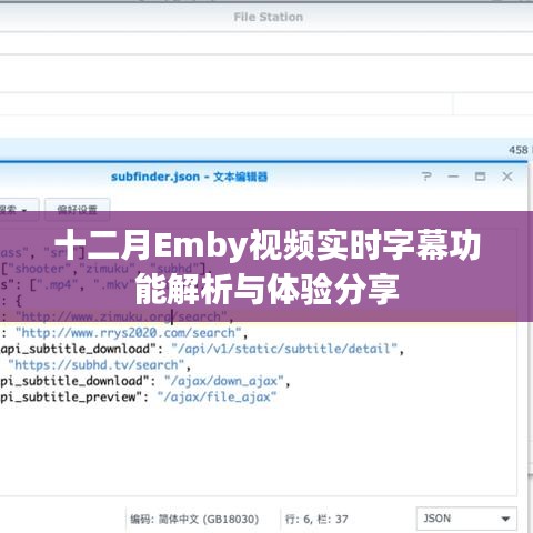 十二月Emby视频实时字幕功能深度解析与体验心得