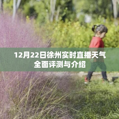 徐州实时直播天气全面评测与介绍，深度解读徐州气象变化