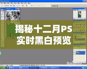 揭秘十二月PS实时黑白预览获取攻略