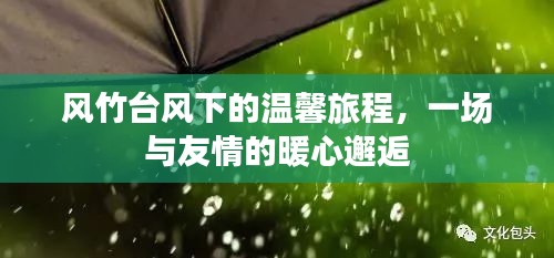 台风风竹下的暖心旅程，友情邂逅的温馨之旅