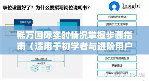 稀万国际实时情况掌握步骤详解，初学者与进阶用户指南