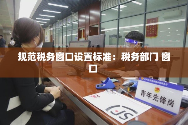 规范税务窗口设置标准：税务部门 窗口 