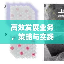 高效发展业务，策略与实践指南