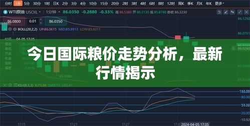 今日国际粮价走势分析，最新行情揭示