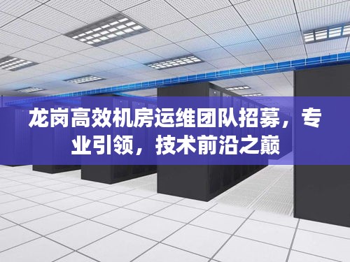 龙岗高效机房运维团队招募，专业引领，技术前沿之巅