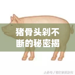 猪骨头剁不断的秘密揭秘