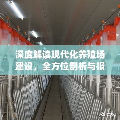 深度解读现代化养殖场建设，全方位剖析与报道