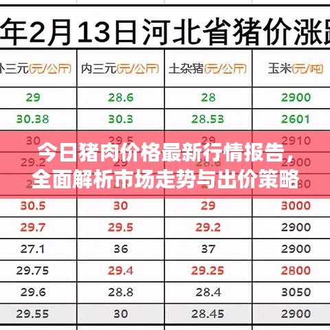 今日猪肉价格最新行情报告，全面解析市场走势与出价策略