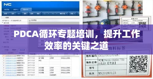 PDCA循环专题培训，提升工作效率的关键之道