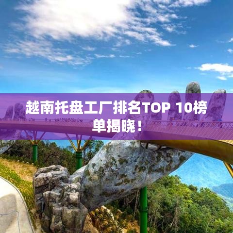 越南托盘工厂排名TOP 10榜单揭晓！