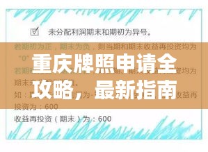 重庆牌照申请全攻略，最新指南助你轻松搞定！