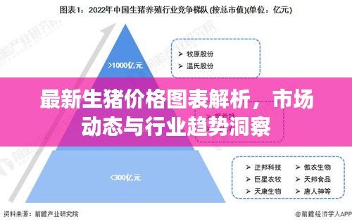 最新生猪价格图表解析，市场动态与行业趋势洞察