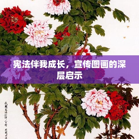 宪法伴我成长，宣传图画的深层启示