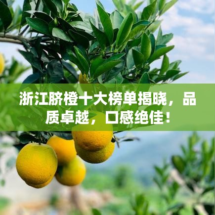 浙江脐橙十大榜单揭晓，品质卓越，口感绝佳！