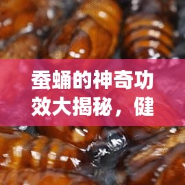蚕蛹的神奇功效大揭秘，健康宝藏，百度来揭秘！
