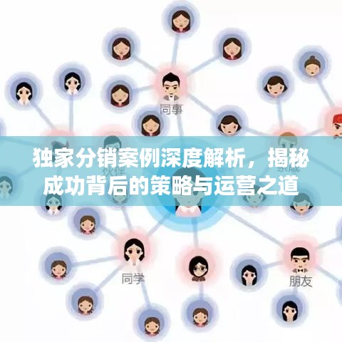 独家分销案例深度解析，揭秘成功背后的策略与运营之道