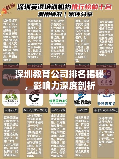 深圳教育公司排名揭秘，影响力深度剖析