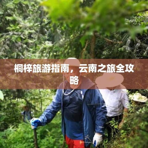 桐梓旅游指南，云南之旅全攻略