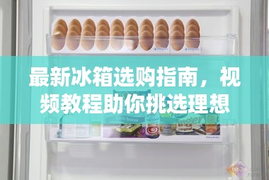 最新冰箱选购指南，视频教程助你挑选理想冰箱