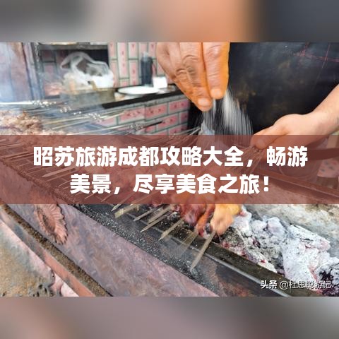 昭苏旅游成都攻略大全，畅游美景，尽享美食之旅！
