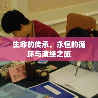 生命的传承，永恒的循环与演绎之旅