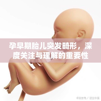 孕早期胎儿突发畸形，深度关注与理解的重要性