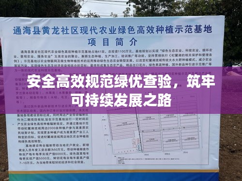 安全高效规范绿优查验，筑牢可持续发展之路