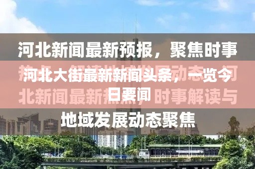 河北大街最新新闻头条，一览今日要闻