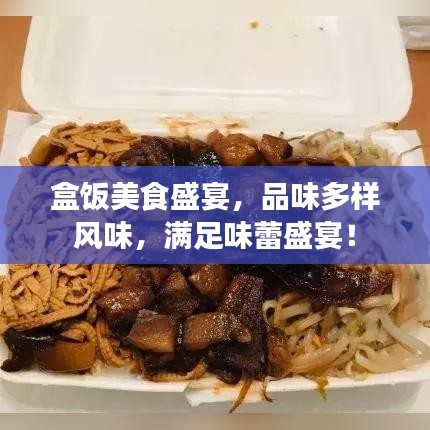 盒饭美食盛宴，品味多样风味，满足味蕾盛宴！