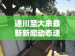 遂川至大余最新新闻动态速递