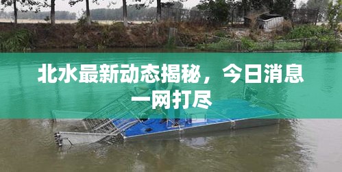 北水最新动态揭秘，今日消息一网打尽