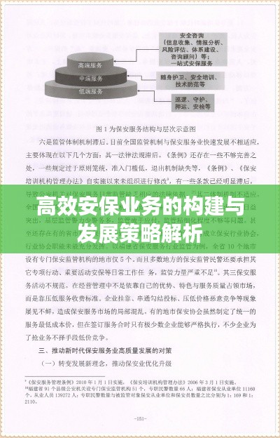 高效安保业务的构建与发展策略解析